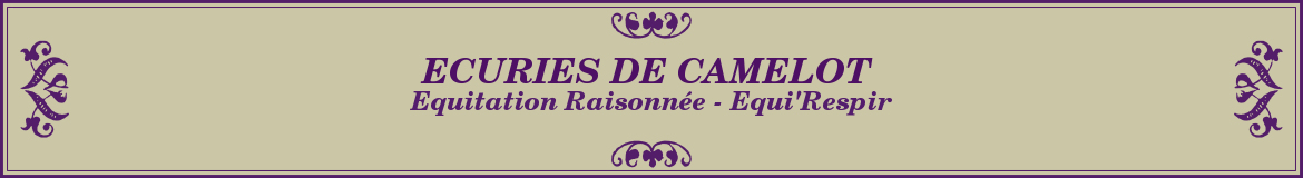 ECURIES DE CAMELOT